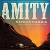 AMITY by Nathan Harris Hardback Book 9781035404681