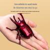 Creative Wind-Up Clockwork Beetle Toy: Crawling Prank Insect Model for Kids
