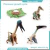 Pterosaur T Rex Growth Cycle Figures Pvc Models For Kid Science Educational Gift