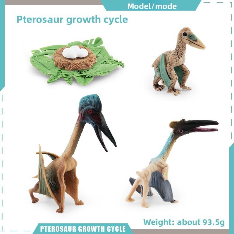 Pterosaur T Rex Growth Cycle Figures Pvc Models For Kid Science Educational Gift