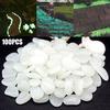 100pcs New White Luminous Stones Pebble Gardening Aquarium Landscaping Pebble