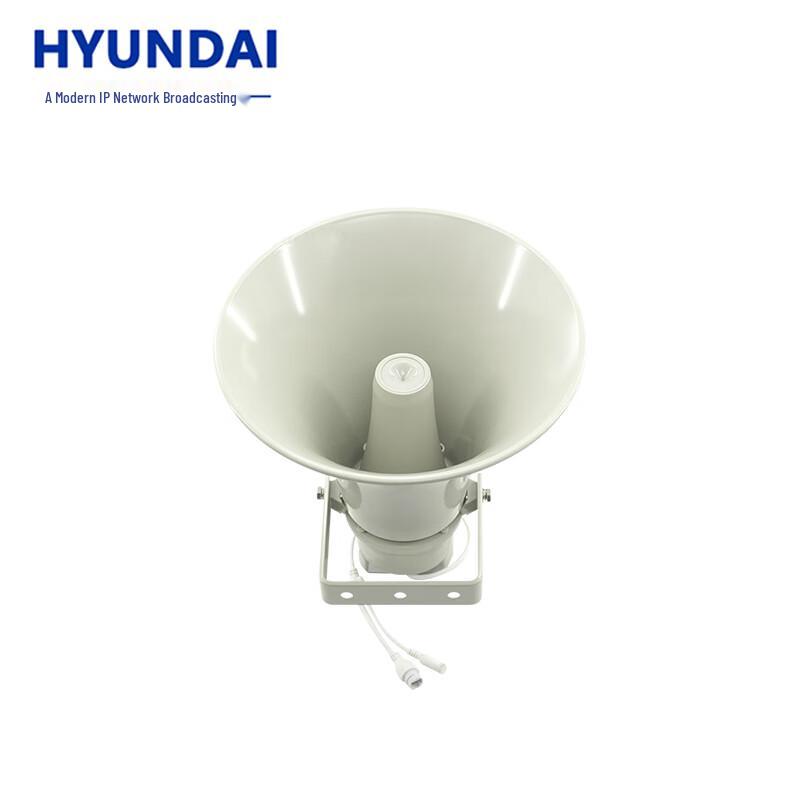 Hyundai IP Network Broadcasting Audio Systems CN plug (adapter included)