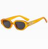 Fashion  Cat Eye Sunglasses Woman Small Frame Sun Glasses Female Vintage Punk Hip Hop