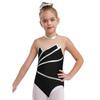 Girls Gymnastics Leotard: Metallic Striped Sheer Mesh Patchwork Keyhole Back Sleeveless Bodysuit for Dance Performance