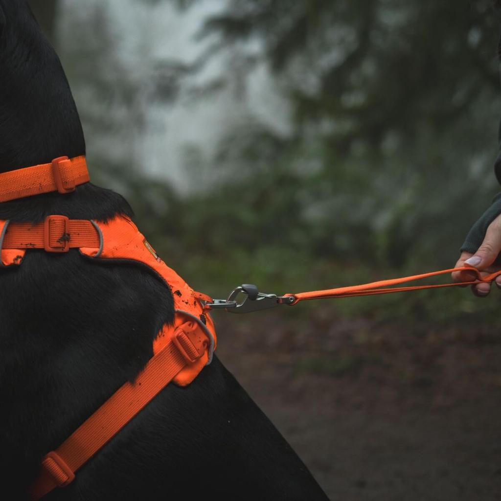 RUFFWEAR Front Range Blaze Orange Leash,