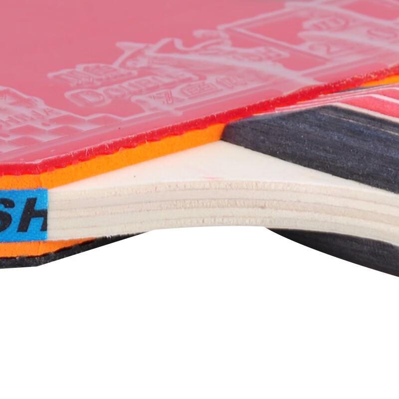 Double Fish 2-Star Entry-Level Shakehand Table Tennis Racket