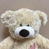 [USED] Build-A-Bear Build-A-Bear Champ Plush Teddy Bear
