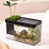 Plastik-Fischbecken Kleines Aquarium Heim-Landschaft Amphibien-Öko-Becken Büro