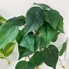 Simulated Plant Fine Workmanship Decorative Realistic Full of Vitality No Watering Decorate Rattan Leaves Long Lasting No Wither Imitation Plant for