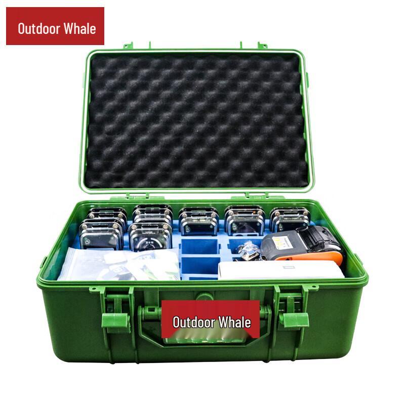 Outdoor Whale Electronic Timing System