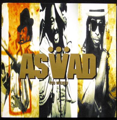 LP Record ASWAD  Too Wicked 5398831 Mango 1990 US Reggae Ska  Dub