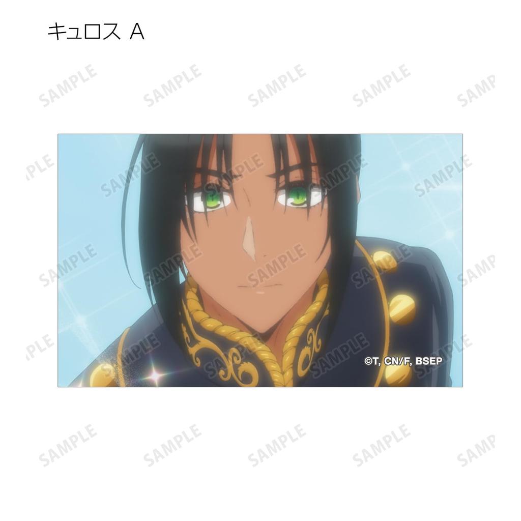 TV Anime [The Zapped Young Lady is Adored by Her Sister's Ex-Fiance] Trading Scene Illustration Cards Box of 8