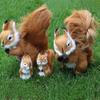 Toys Dolls Animal Plush Toys Squirrel Stuffed Toys Squirrel Plush Doll Simulation Squirrel