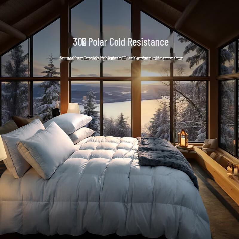 Canasin Ranga 95% White Goose Down Winter Duvet