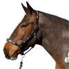 Gallop Diamond Leather Padded Horse Headcollar