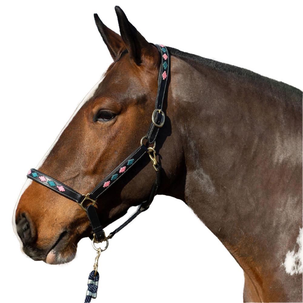 Gallop Diamond Leather Padded Horse Headcollar