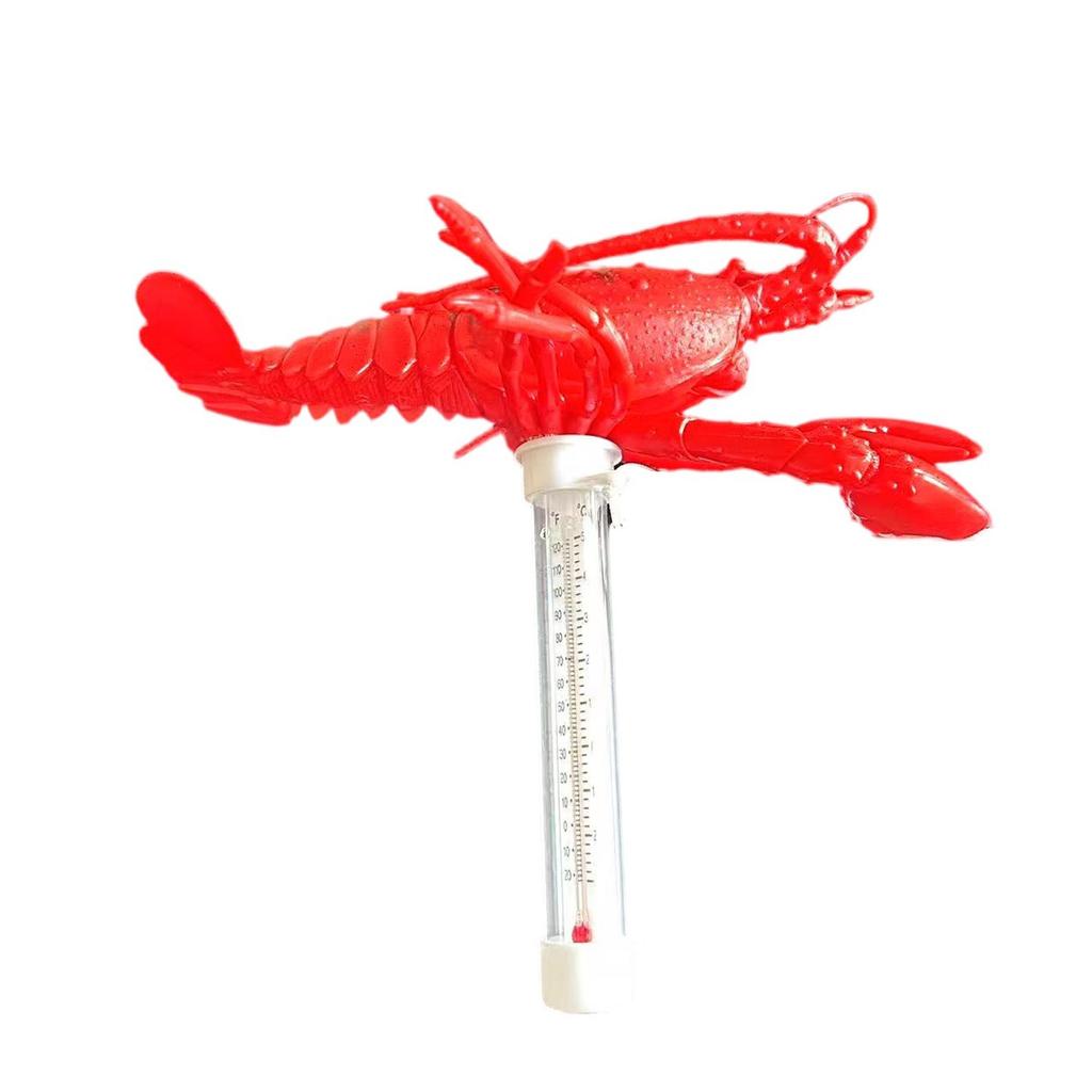 Cute Floating Pool Floating Water Temperature Gauge For Swimming Pool, Hot Tub, And Pond