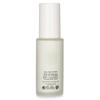 FLANERIE Detoxifying Day Moisturizer SPF 15
