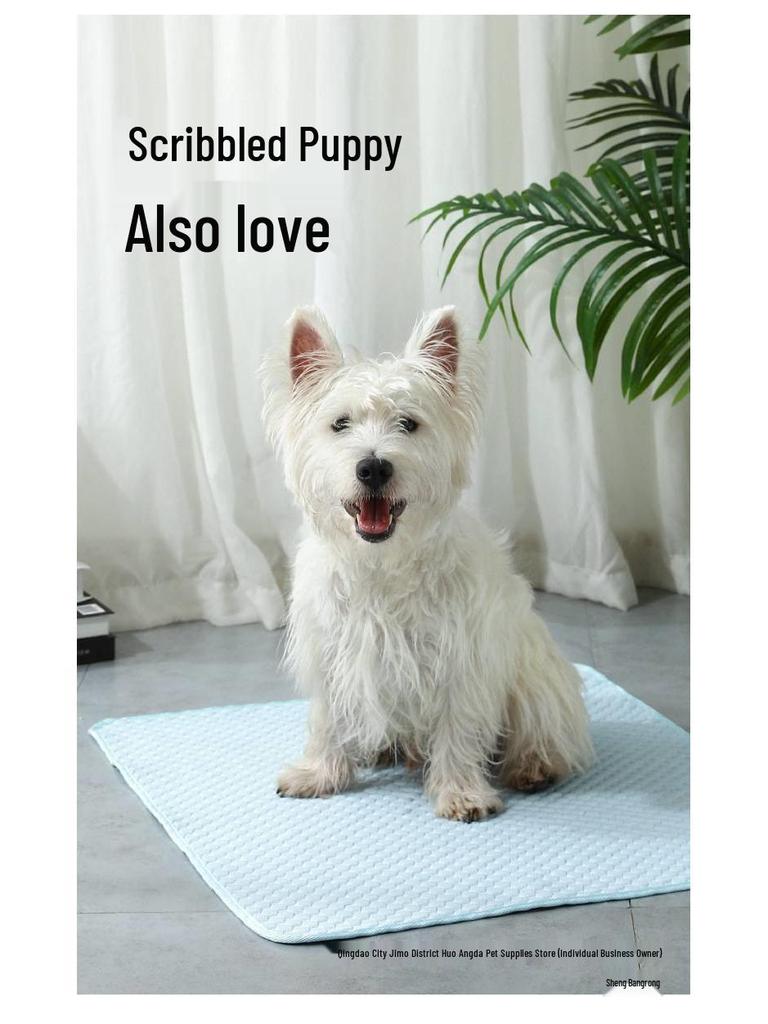 Summer Cooling Ice Pad: Ice Silk Mat for Dogs and Cats