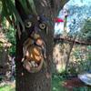Unique Bird Feeders,Tree Faces Decor Outdoor,tree Decoration Outdoor Makes For Housewarming Or Birthday Present For Your Family And Friends