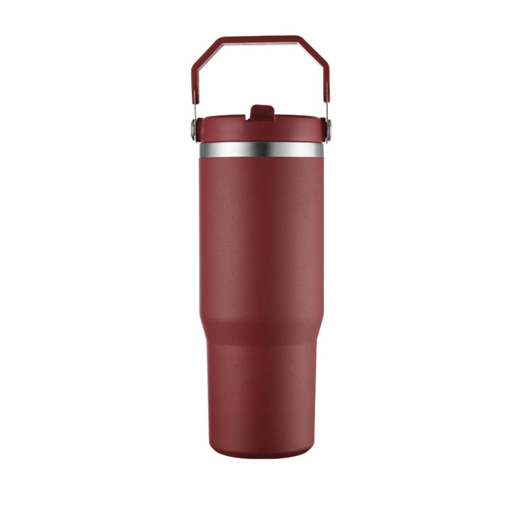 Leakproof Insulated Cup 30oz Large Capacity Water Bottle with Handle/Straw Colorful Tumbler Gift for Travel Car Office Workout