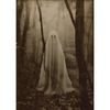 Dark Academia Art Haunting Ghost Poster Prints Halloween Home Decor Haunted House Gothic Vampire Canvas Painting Wall Art