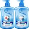 Lion Brand Sea Salt Hand Wash - 50 X 500mL Bulk Pack
