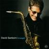 CD DAVID SANBORN - Timeagain 4400655782 Verve Records 2003 Japan Jazz Used
