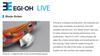 Yamashita Live Egi-O-Q Squid Jig 2.5-10 grams-5-5.5sec per m 004 (3900)