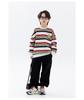 Boys' Fleece-Lined Striped Crewneck Hoodie - 2025 Autumn/Winter, Thick Long-Sleeve, Fashionable for Older Children