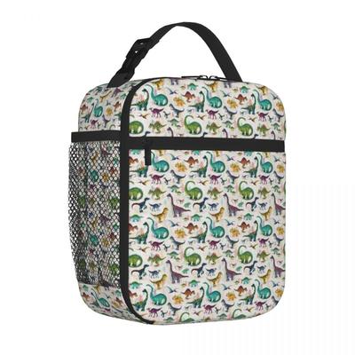 Bestselling Bright Dinosaurs Industrial Style Cooler Lunch Bag Mountain Trip Kids Lunch Bag