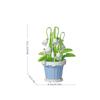 Rose DIY Eternal Flower Building Blocks Decorative Art Style for Home, Symbolize Everlasting Love, Ideal for Love Anniversaries