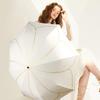 Accesorii – Umbrele