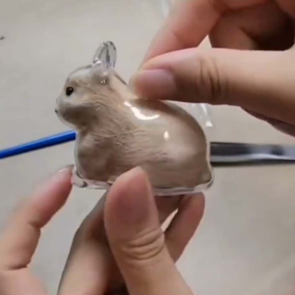 Animal Shaped Cat Hair Storage Capsule Handmade Dog Hair Storage Container  Memorial Key Ring