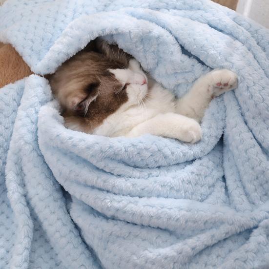 pet blankets for cats