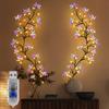 LED Willow Vine and Butterfly Fairy Lights, 8 Modes, Powered By USB for Bedroom Decoration, Mother'S Day, Valentine'S Gifts