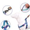 Dogs Harness & Leash Colorful Small Medium Dog Chest Belt Colorful Harness Rope