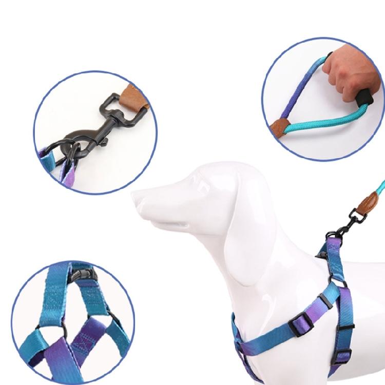 Dogs Harness & Leash Colorful Small Medium Dog Chest Belt Colorful Harness Rope