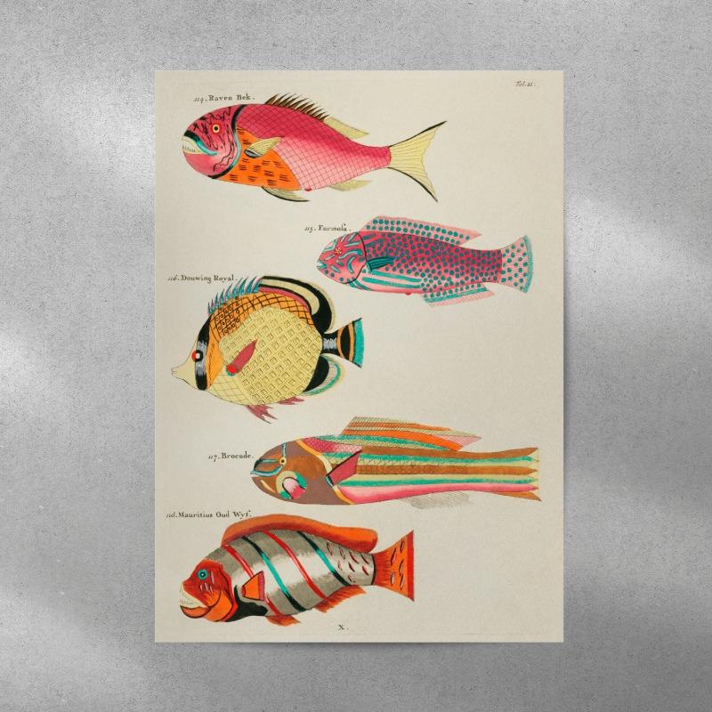 3pc Vintage Tropical Fish Canvas Wall Art Antique Nautical Illustration Printing for Eclectic Home Decor,Ideal Ocean Lover Gifts