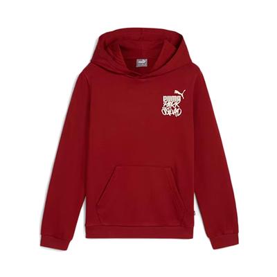 MID 90S Hoodie ESS+ Sweatshirt_68403513_120