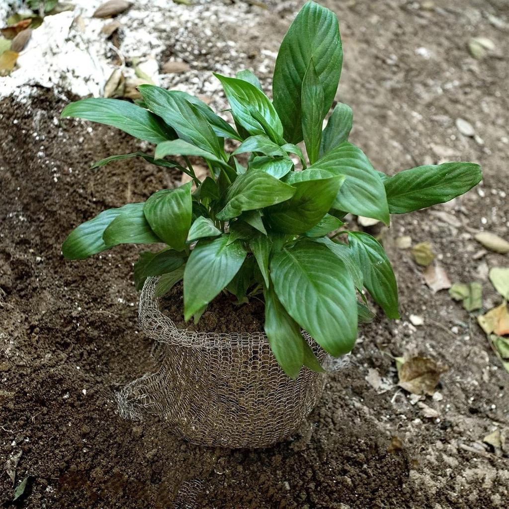 Bulb Baskets 15Piece Stainless Steel Mesh Protectors Covers Bulb Protection From Squirrels For Garden Plants Root Tree Vegetable