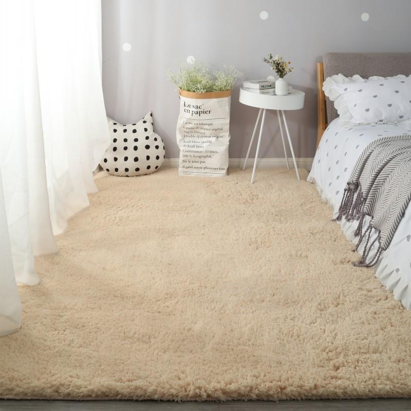 Modern Living Room Carpet Nursery With Fluffy Soft Carpets Teen Room Decor House Entrance Bathroom Bedroom Anti -Slip Doormats