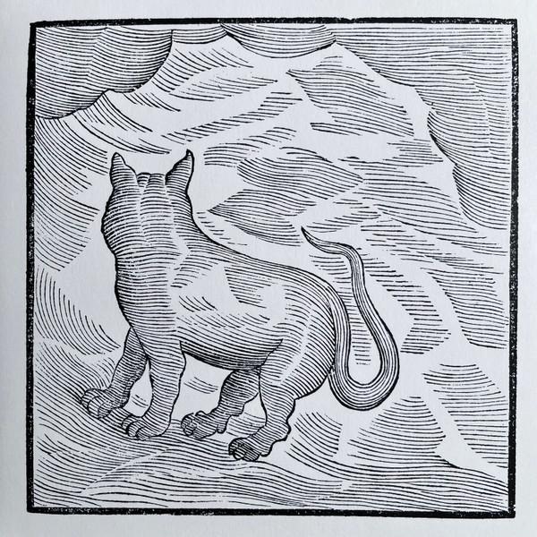 

LP Record VALENTINA MAGALETTI YPY Kansai Bruises WHYT103 AD 93 2025 UK Rock