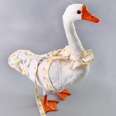 Sevimli Karikatür Ayarlanabilir Evcil Hayvan Kaz Tavuk Ördek Bezleri Kawaii Çekiş Göğüs Kayışı Halatı Kaz Göğüs Kayışı Açık Hava Evcil Hayvan Malzemeleri