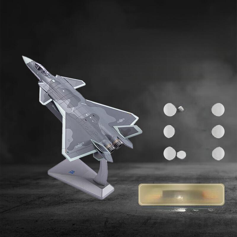 WEZHO J-20 Fighter Jet Model