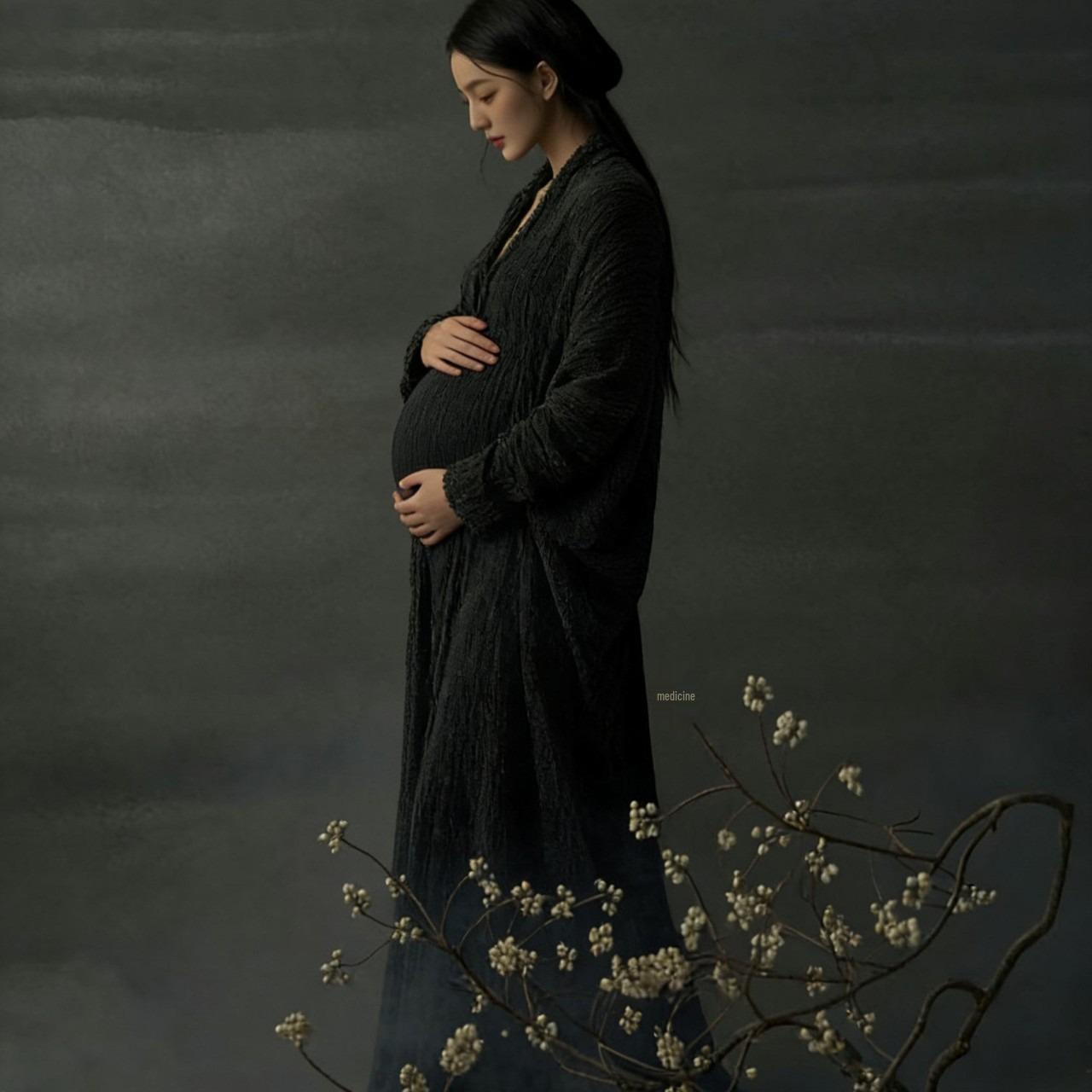 

Zen Black Retro Maternity Dress for Photography - Chinese Style Pregnant Mother Photoshoot One Size