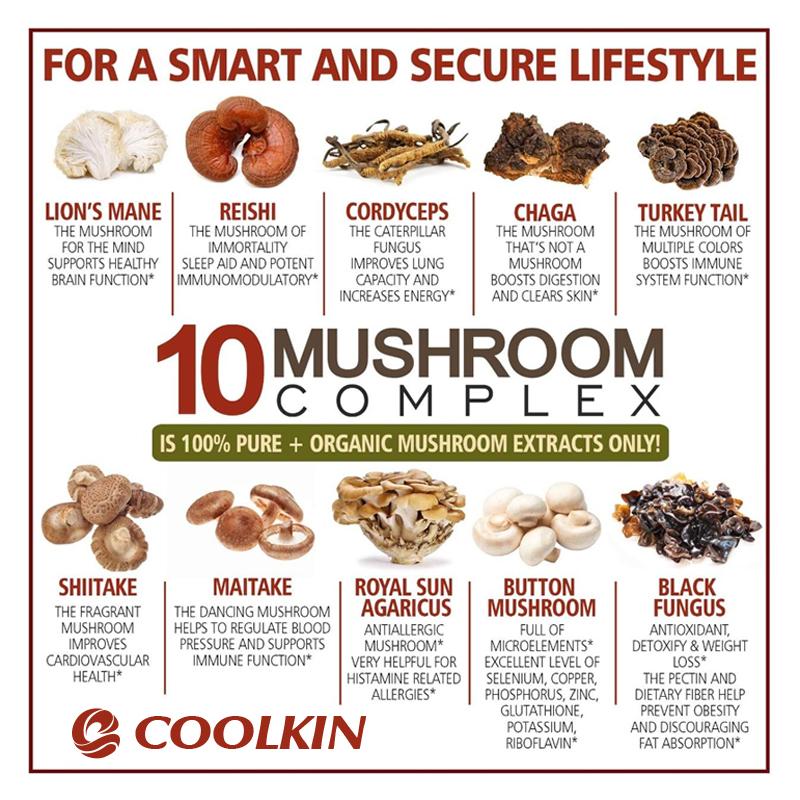 Coolkin 10-Flavor Complex Mushroom Capsules, Multi-Strain, Immune System Support, Suitable for Both Men and Women