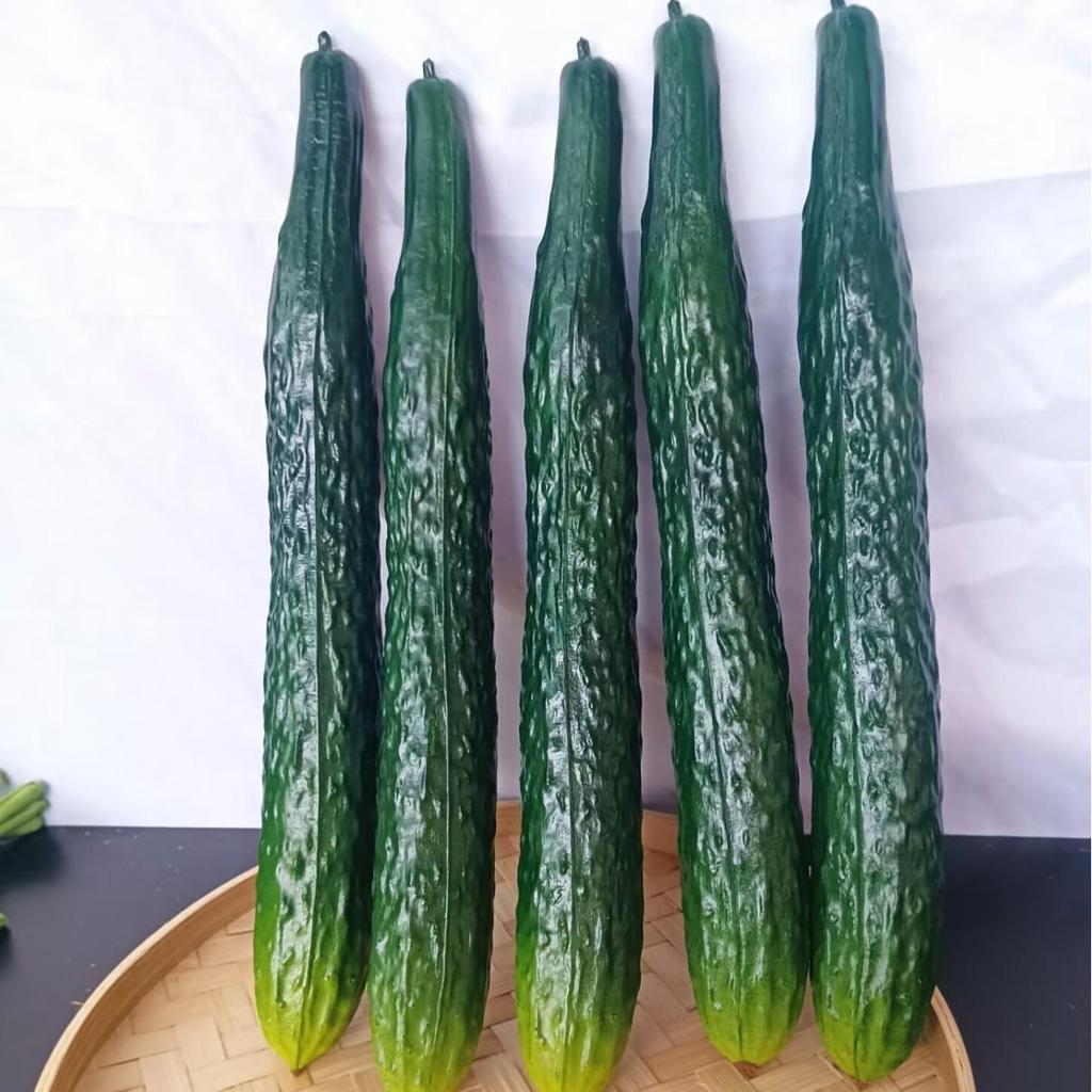 Simulation Cucumber and Eggplant Model for Photography Props and Window Display
