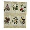 Botanical Inspirations Oracle Cards A 44 Tarot English Divination Edition Deck Borad Playing Games for Party