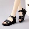 Fashion Wedges Heel Ladies Shoes Brown Leather No Summer 2024 Flat Rubber Footwear Sandals for Women Open Toe Outdoor Shoe Vip Sandal F